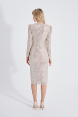 Valeri | Sequined Midi Pencil Dress
